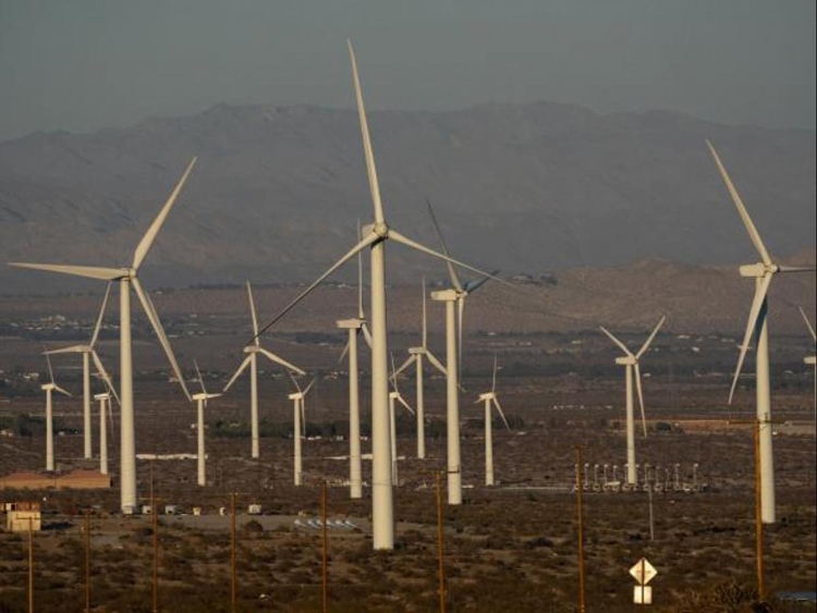 Bùng nổ phong trào năng lượng xanh có thể phải trả giá cho cuộc khủng hoảng nhiên liệu