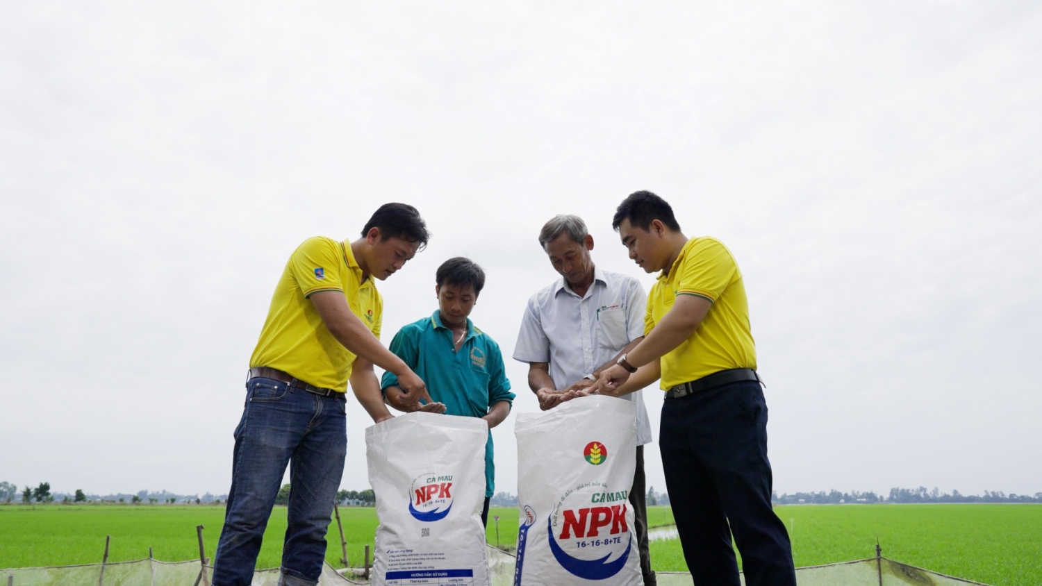 CBCNV PVCFC nâng cao năng lực chuyên môn, cùng bà con phát triển bền vững CBCNV PVCFC nâng cao năng lực chuyên môn, cùng bà con phát triển bền vững