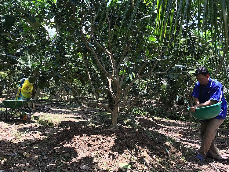 Thuế GTGT phân bón 5% tạo ra lợi ích toàn diện Thuế GTGT phân bón 5% tạo ra lợi ích toàn diện