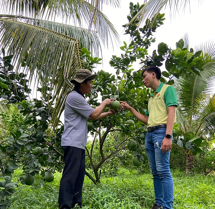 Thuế GTGT phân bón 5% tạo ra lợi ích toàn diện Thuế GTGT phân bón 5% tạo ra lợi ích toàn diện