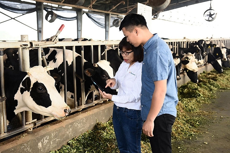 FrieslandCampina Việt Nam tự hào nhận giải thưởng trao quyền cho phụ nữ khu vực châu Á – Thái Bình Dương