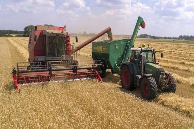 Vụ mùa thất thu và thiếu hụt trên diện rộng đã đẩy giá lương thực thế giới tăng 30% Vụ mùa thất thu và thiếu hụt trên diện rộng đã đẩy giá lương thực thế giới tăng 30%