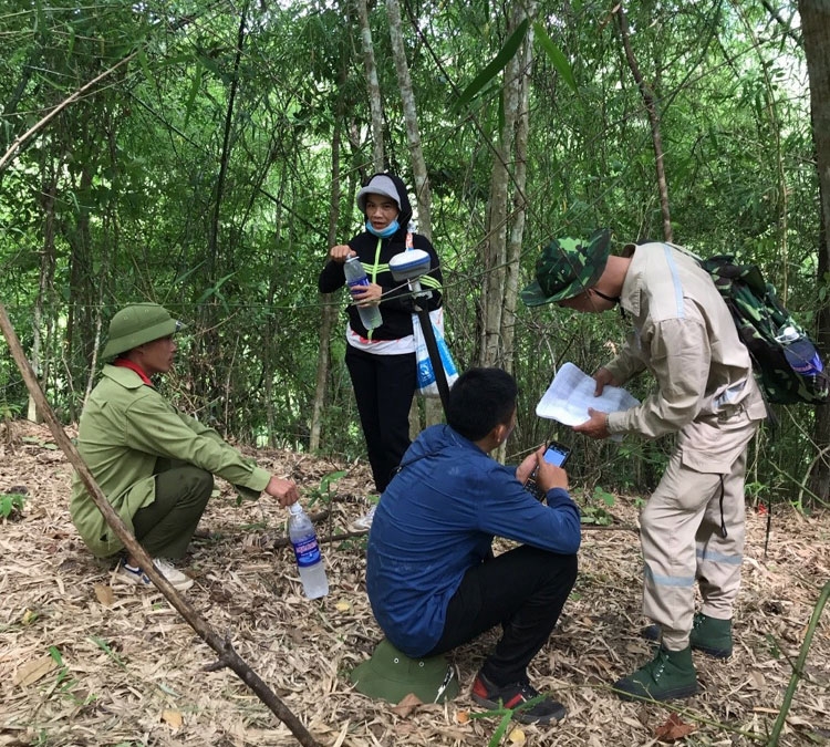 Vai trò lãnh đạo của Đảng trong triển khai dự án lưới điện trọng điểm chịu ảnh hưởng của đại dịch Covid-19