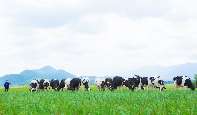 Vinamilk đưa sữa tươi Organic với “tiêu chuẩn kép” đến triển lãm quốc tế hàng đầu tại Thượng Hải Vinamilk đưa sữa tươi Organic với “tiêu chuẩn kép” đến triển lãm quốc tế hàng đầu tại Thượng Hải