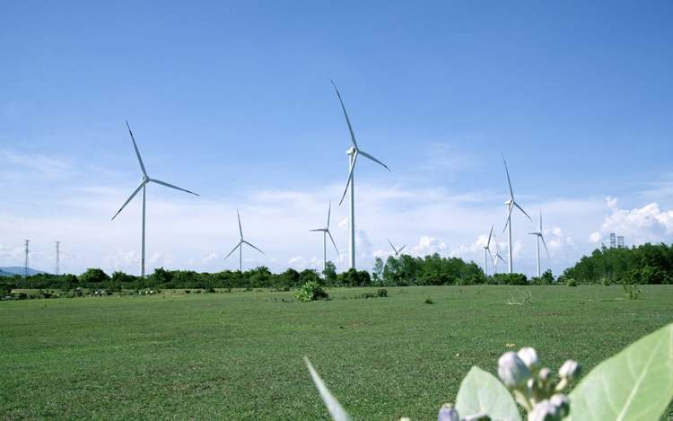 Trungnam Group khánh thành Dự án điện gió số 5 tại Ninh Thuận