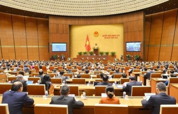 Hải Phòng được tự quyết chuyển mục đích sử dụng đất trồng lúa dưới 500ha