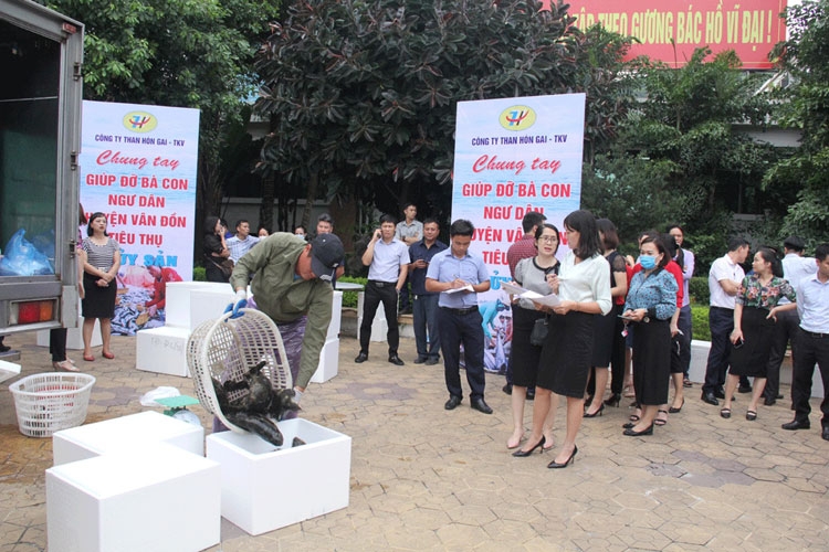 Lời giải cho “bài toán” tiêu thụ nông lâm thủy sản trong tình hình mới của Quảng Ninh: Thúc đẩy lưu thông, tiêu thụ nông sản trong mùa dịch Lời giải cho “bài toán” tiêu thụ nông lâm thủy sản trong tình hình mới của Quảng Ninh: Thúc đẩy lưu thông, tiêu thụ nông sản trong mùa dịch