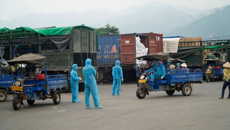 Lời giải cho “bài toán” tiêu thụ nông lâm thủy sản trong tình hình mới của Quảng Ninh - Bài 2: Tăng tốc xuất khẩu, “cứu nguy” cho nông lâm, thuỷ hải s Lời giải cho “bài toán” tiêu thụ nông lâm thủy sản trong tình hình mới của Quảng Ninh - Bài 2: Tăng tốc xuất khẩu, “cứu nguy” cho nông lâm, thuỷ hải s