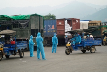 Lời giải cho “bài toán” tiêu thụ nông lâm thủy sản trong tình hình mới của Quảng Ninh - Bài 2: Tăng tốc xuất khẩu, “cứu nguy” cho nông lâm, thuỷ sản