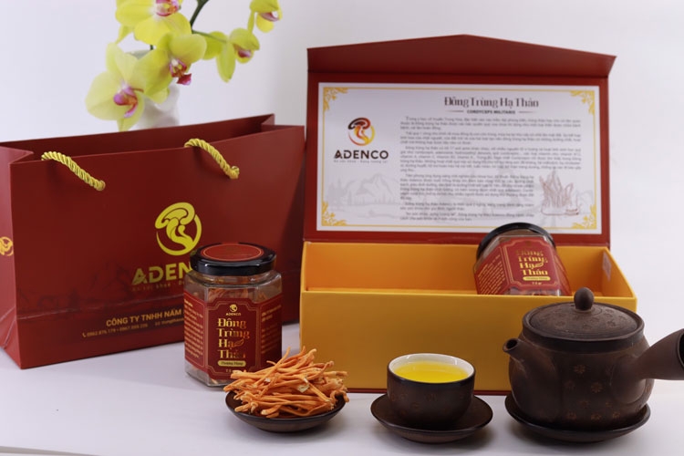 Người kỹ sư tâm huyết với Đông trùng hạ thảo Người kỹ sư tâm huyết với Đông trùng hạ thảo