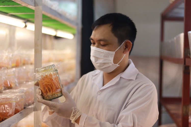 Người kỹ sư tâm huyết với Đông trùng hạ thảo Người kỹ sư tâm huyết với Đông trùng hạ thảo