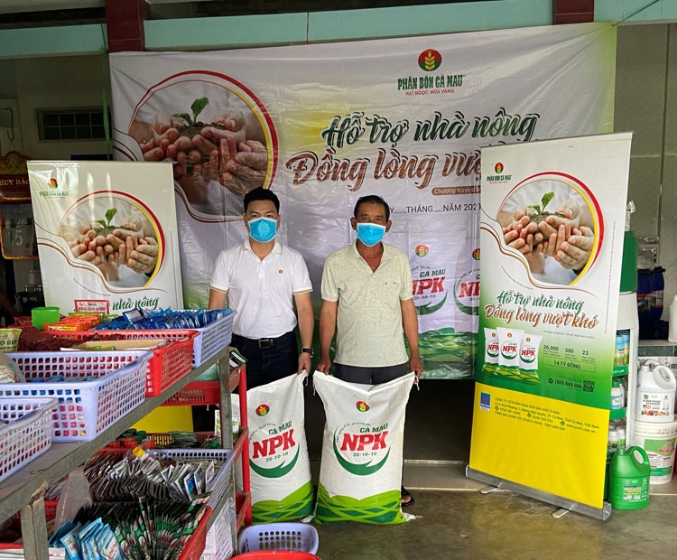 Phân bón Cà Mau đồng hành cùng nông dân trồng thanh long