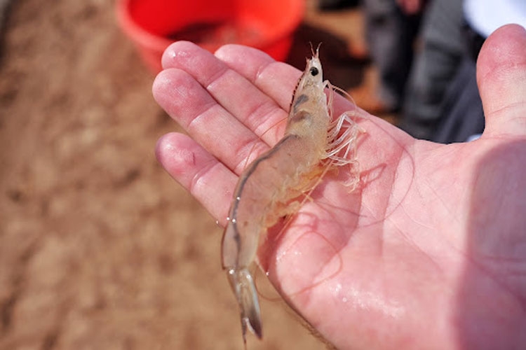 Ấn tượng các dự án khởi nghiệp đổi mới sáng tạo của thanh niên Ấn tượng các dự án khởi nghiệp đổi mới sáng tạo của thanh niên