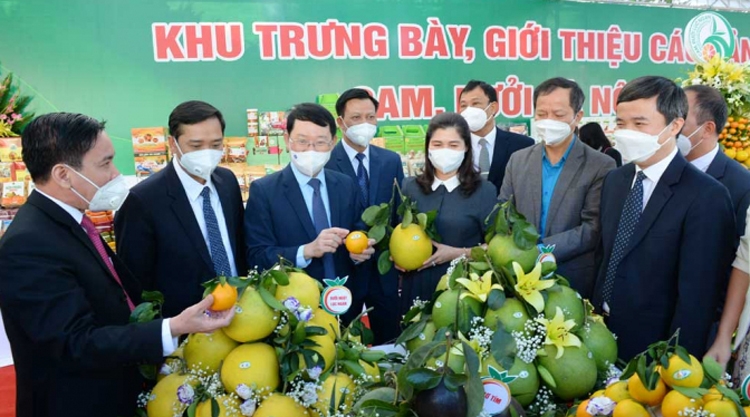 Bắc Giang: Nâng giá trị và chất lượng sản phẩm OCOP Bắc Giang: Nâng giá trị và chất lượng sản phẩm OCOP