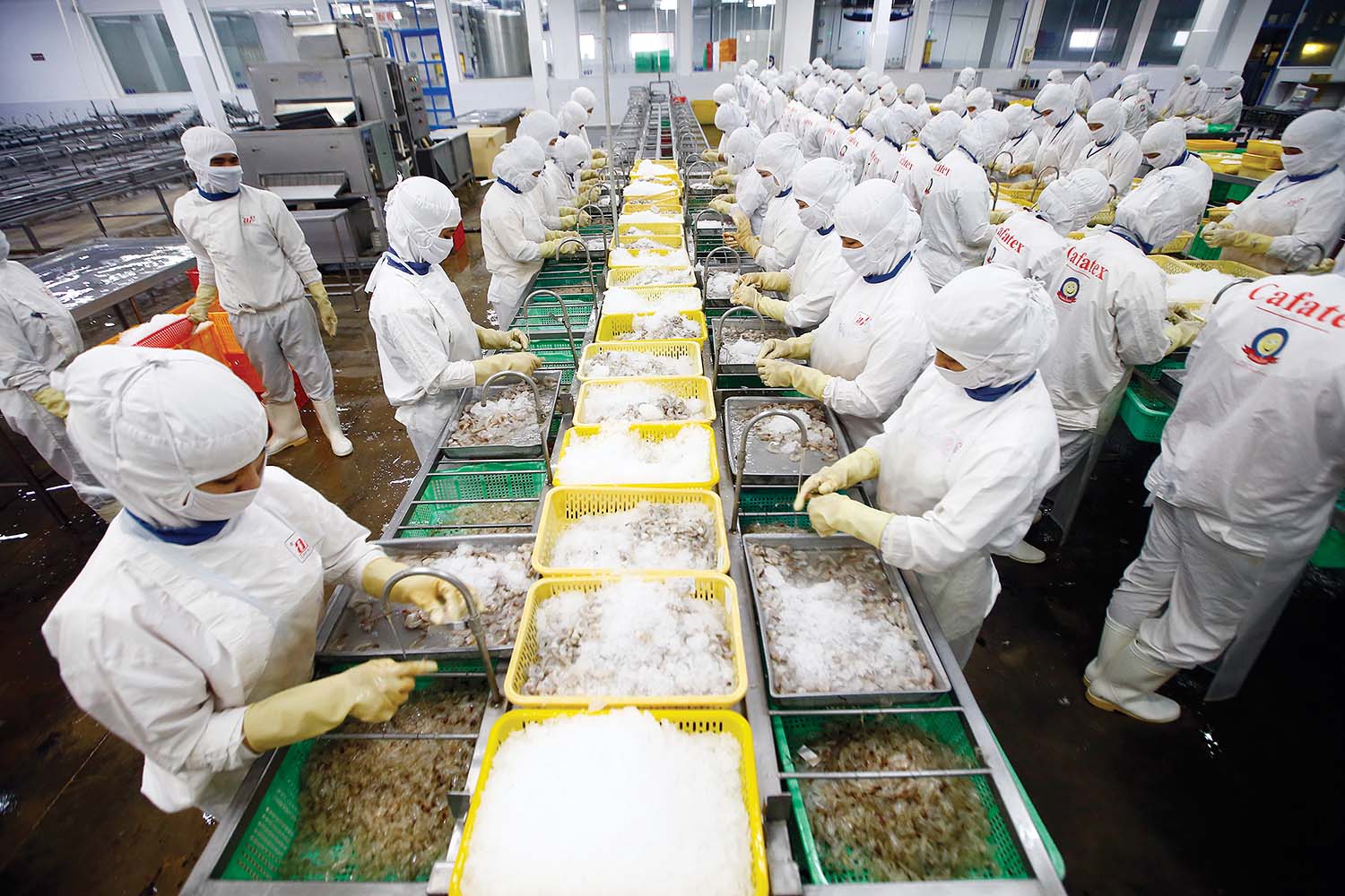 Xuất khẩu hàng thủy sản của Việt Nam sang thị trường châu Mỹ tăng đáng kể từ khi CPTPP có hiệu lực 	ảnh: đ.t