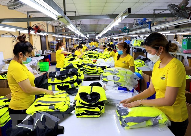 Det may Viet Nam can