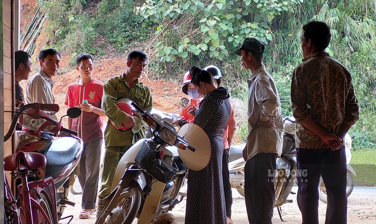 Nhiều nông dân chở dong riềng đi bán nhưng các cơ sở chế biến không mua, mặc dù giá chỉ còn khoảng 1 nửa do với hơn 10 ngày trước.