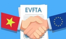 Tác động tích cực của Hiệp định EVFTA tới doanh nghiệp