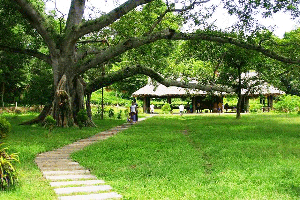 Quy hoạch tổng thể phát triển Khu du lịch quốc gia Tân Trào quy hoach tong the phat trien khu du lich quoc gia tan trao