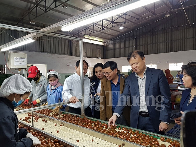 lam dong khoi day tiem nang phat huy the manh thuc hien thanh cong cuoc van dong