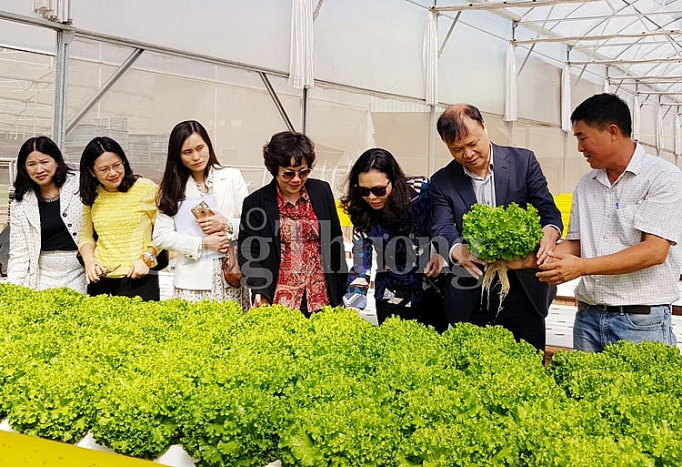 lam dong khoi day tiem nang phat huy the manh thuc hien thanh cong cuoc van dong