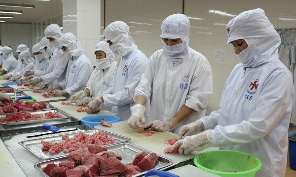 Xuất khẩu cá ngừ Việt Nam tăng mạnh tại thị trường Trung Đông xuat khau ca ngu viet nam tang manh tai thi truong trung dong