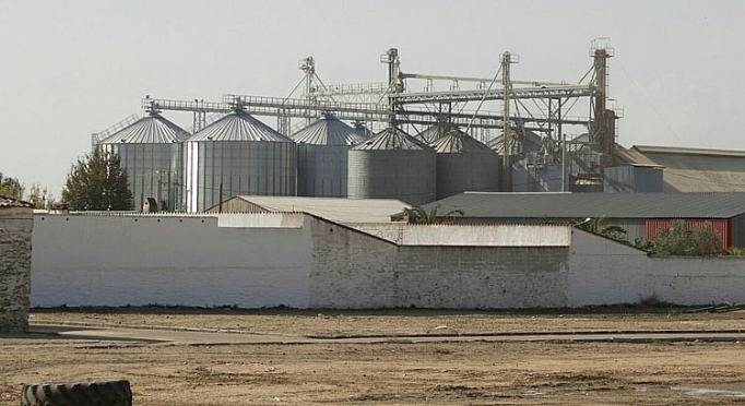 Thành lập Công ty TNHH gạo công nghệ cao Agroinpro Đắk Lắk thanh lap cong ty tnhh gao cong nghe cao agroinpro dak lak