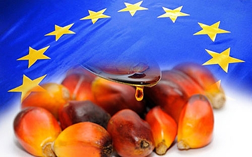 Chính sách dầu cọ của EU đang gây ra phản ứng của thế giới chinh sach dau co cua eu dang gay ra phan ung cua the gioi