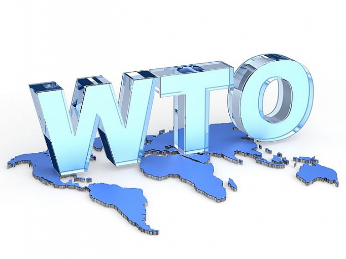 cai cach wto khoi dau cua su ket thuc hay ket thuc cua su khoi dau