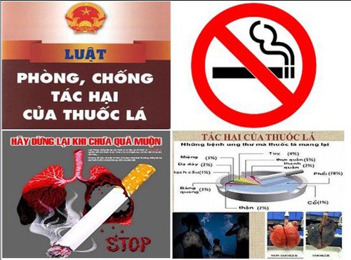 Hòa Bình: Tăng cường chỉ đạo phòng, chống tác hại thuốc lá Hòa Bình: Tăng cường chỉ đạo phòng, chống tác hại thuốc lá