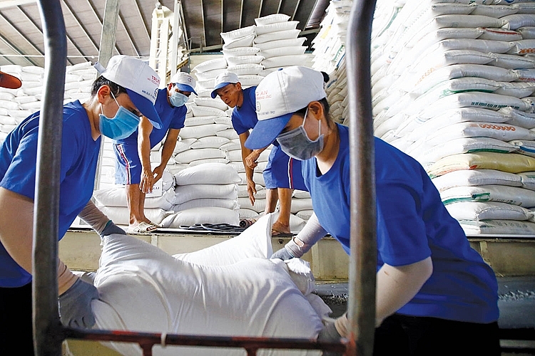 xuất khẩu gạo xuất khẩu gạo