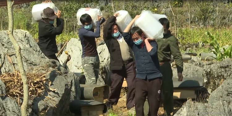 Mật ong bạc hà đặc sản quý hiếm vùng cao nguyên đá Đồng Văn Mật ong bạc hà đặc sản quý hiếm vùng cao nguyên đá Đồng Văn