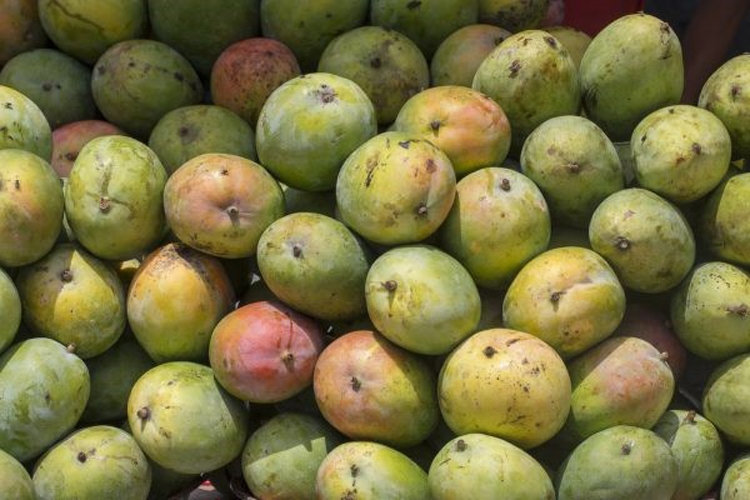 Tại sao ASEAN cần cắt giảm các biện pháp phi thuế quan đối với nhập khẩu nông sản thực phẩm? Tại sao ASEAN cần cắt giảm các biện pháp phi thuế quan đối với nhập khẩu nông sản thực phẩm?