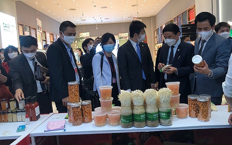 Hanoi Agriculture Fair 2021: Kích cầu tiêu dùng sản phẩm OCOP