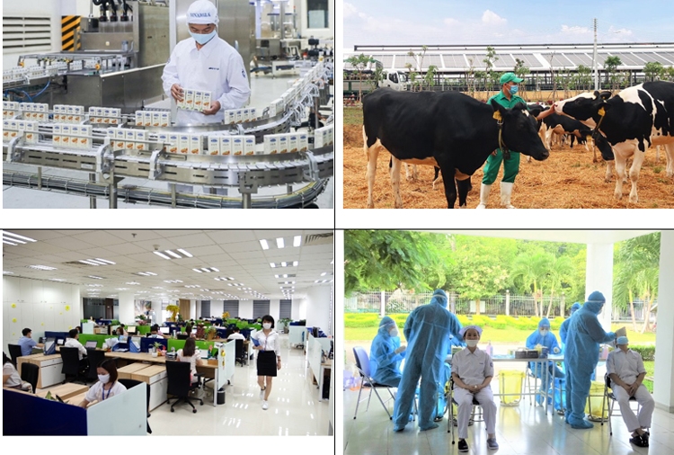 Vinamilk góp mặt trong khảo sát nơi làm việc tốt nhất Việt Nam với vai trò mới Vinamilk góp mặt trong khảo sát nơi làm việc tốt nhất Việt Nam với vai trò mới