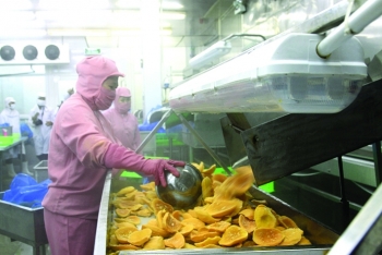 320 mã nông sản thực phẩm Việt Nam được nhập khẩu vào Trung Quốc