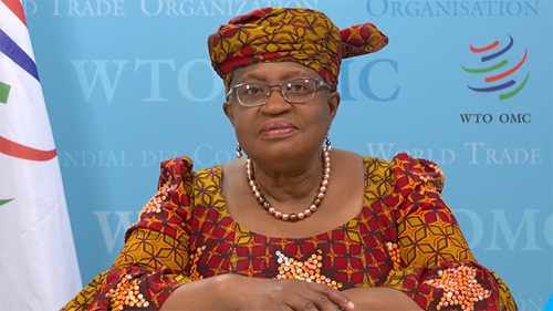 WTO: Chấm dứt các rào cản thương mại để giúp giải quyết khủng hoảng khí hậu