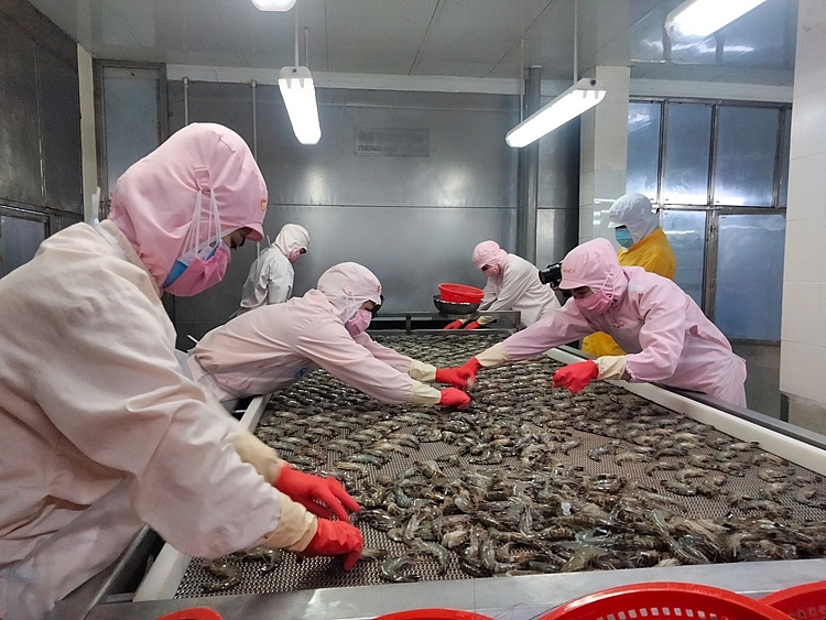 Sản xuất, xuất khẩu của các doanh nghiệp thủy sản đã tăng tốc trở lại Sản xuất, xuất khẩu của các doanh nghiệp thủy sản đã tăng tốc trở lại