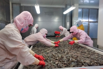 Ngành thủy sản: Một năm 