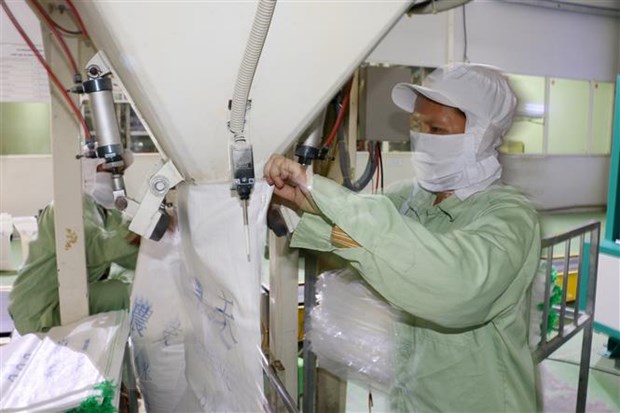 Indonesia nhập khẩu gạo từ Việt Nam và Thái Lan để bình ổn trong nước hình ảnh 1 Indonesia nhap khau gao tu Viet Nam va Thai Lan de binh on trong nuoc hinh anh 1