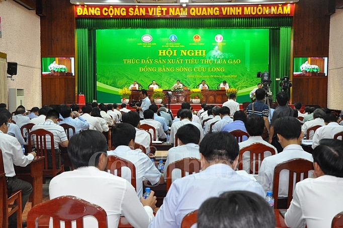 bo cong thuong doanh nghiep nen quan ly chat luong lua gao xuat khau