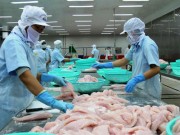 Cà Mau đẩy mạnh chương trình tiết kiệm điện