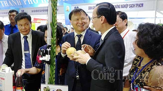 tp ho chi minh tang cuong ket noi cung cau