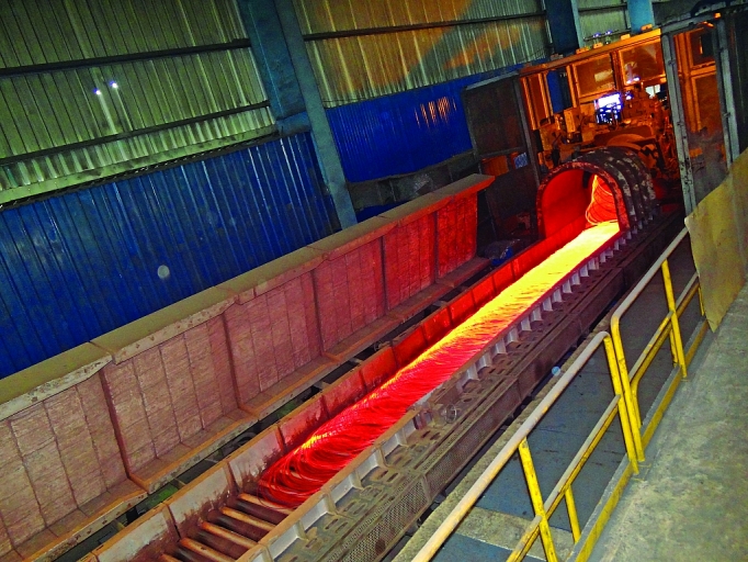 thep mien nam canh chim dau dan nganh thep