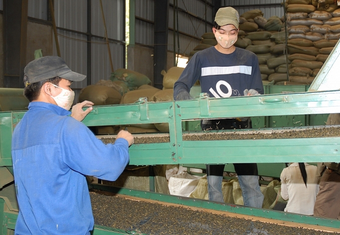 Phú Thọ: Tạo điều kiện cho ngành nghề thế mạnh phu tho tao dieu kien cho nganh nghe the manh