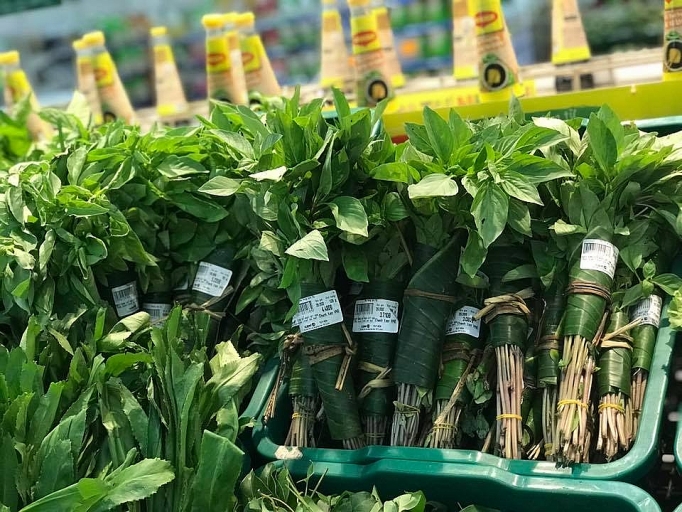 Saigon Co.op sử dụng vật liệu thân thiện môi trường: Tạo thói quen tích cực saigon coop su dung vat lieu than thien moi truong tao thoi quen tich cuc