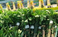 Saigon Co.op sử dụng vật liệu thân thiện môi trường: Tạo thói quen tích cực