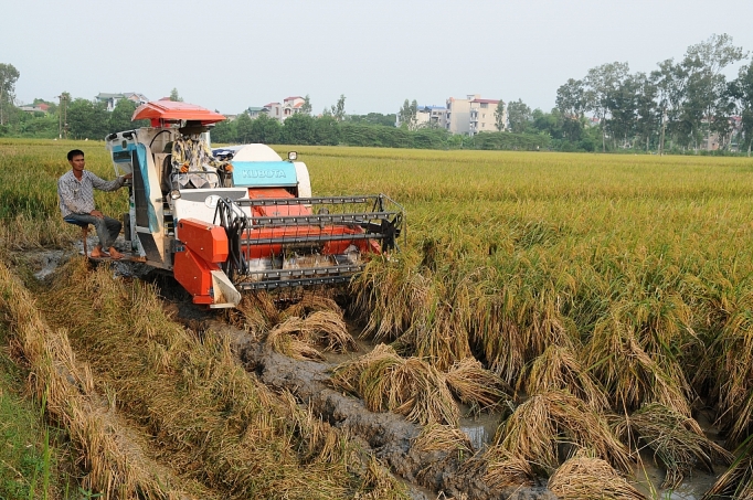 uu tien chuyen giao cong nghe vao nong nghiep