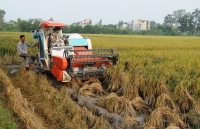 Ưu tiên chuyển giao công nghệ vào nông nghiệp