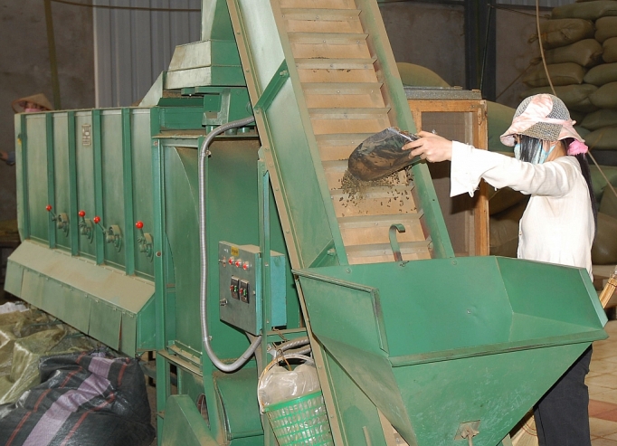 Ứng dụng công nghệ vào sản xuất, chế biến chè: Nâng cả chất và lượng ung dung cong nghe vao san xuat che bien che nang ca chat va luong